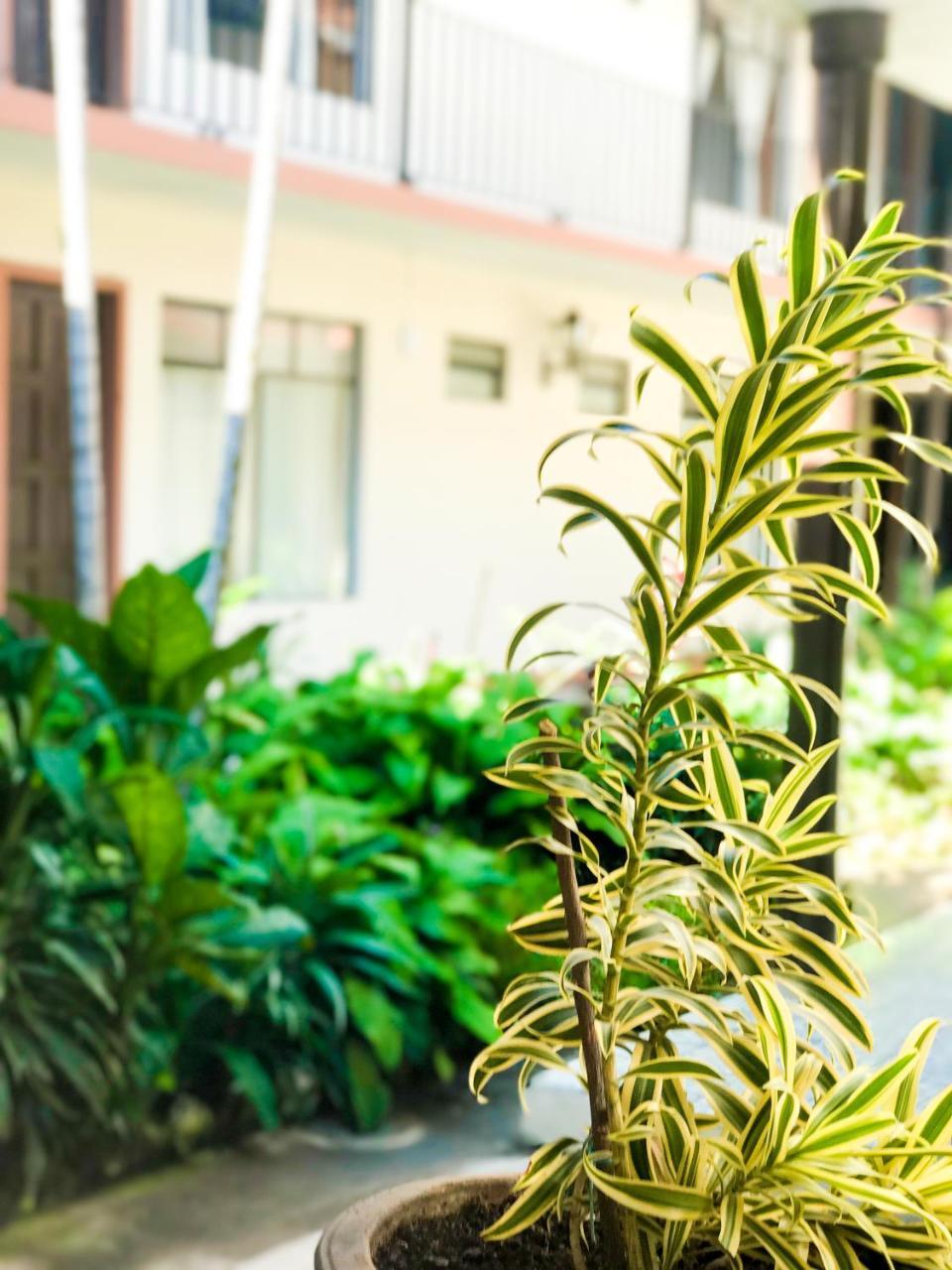 Hotel Villa De Flores Uruapan  エクステリア 写真